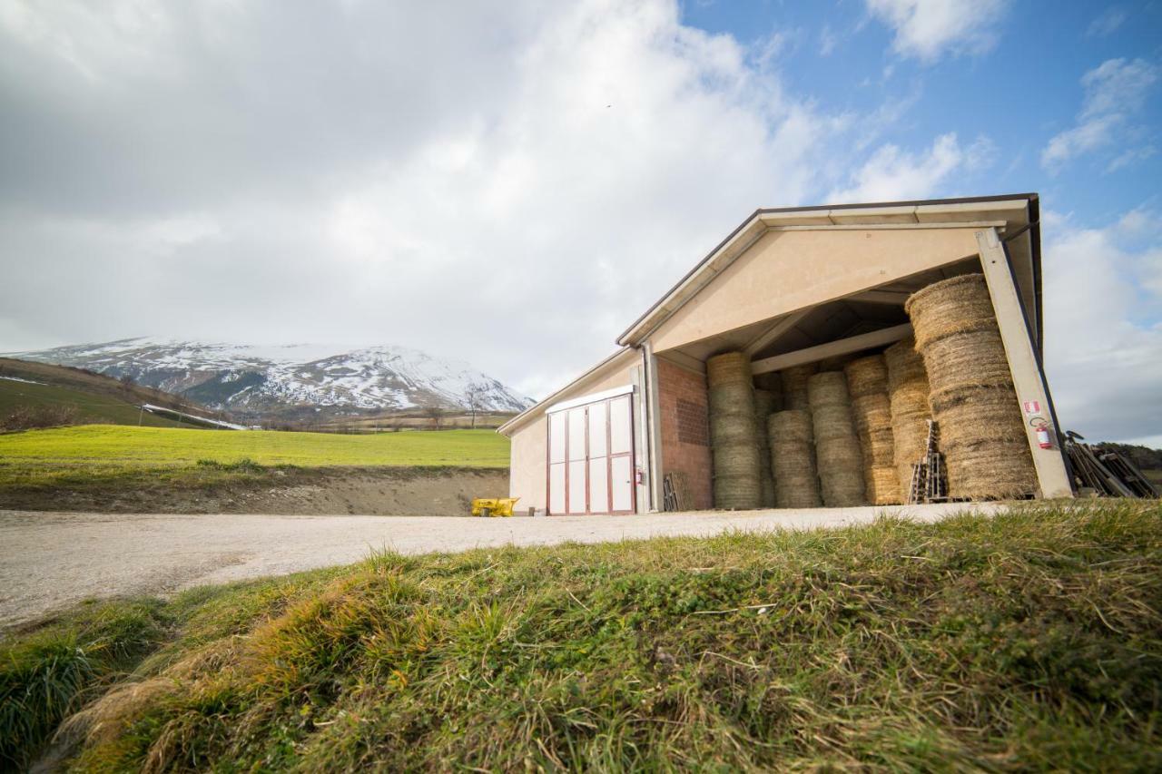 La Fattoria Dei Sibillini Villa Montemonaco Dış mekan fotoğraf